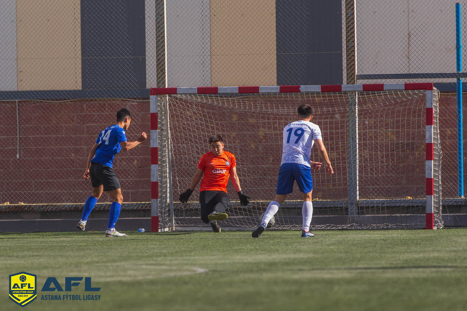 IMG 8393